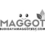 budidaya maggot Jakarta
