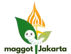 budidaya maggot Jakarta